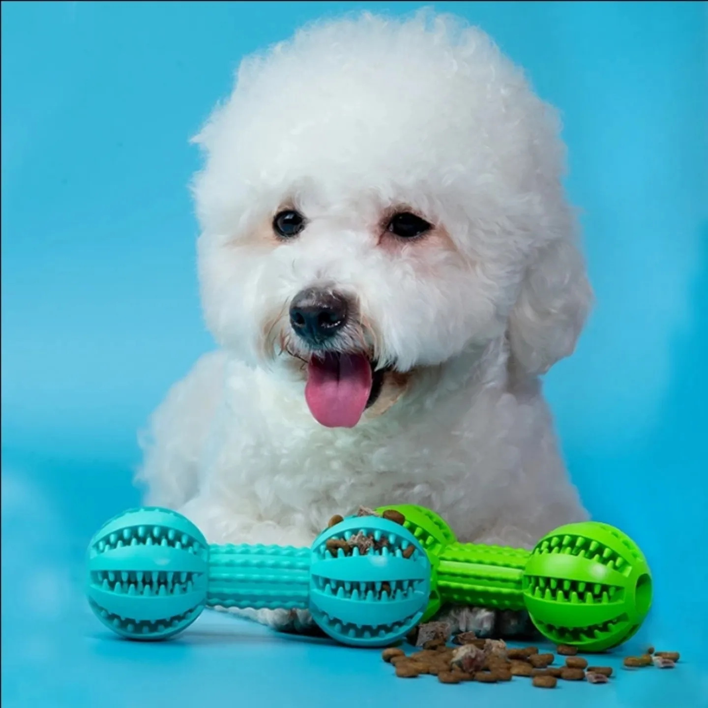 Haltère à mâcher pour chien pour le nettoyage des dents, jouet à mâcher durable en TPR, massage des gencives, entraînement, jeu de rapport, pour chiots