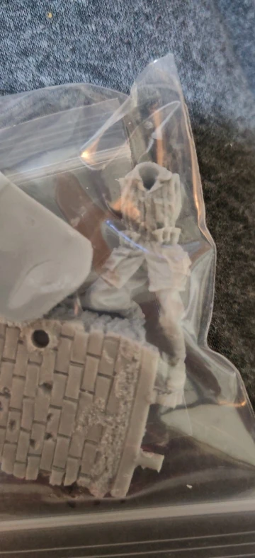 Buyer photo of this resin kit