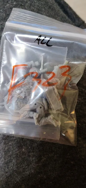 Buyer photo of this resin kit