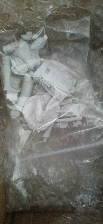 Buyer photo of this resin kit