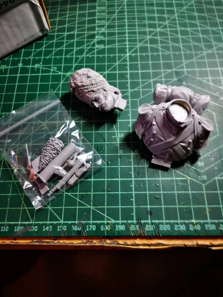 Buyer photo of this resin kit