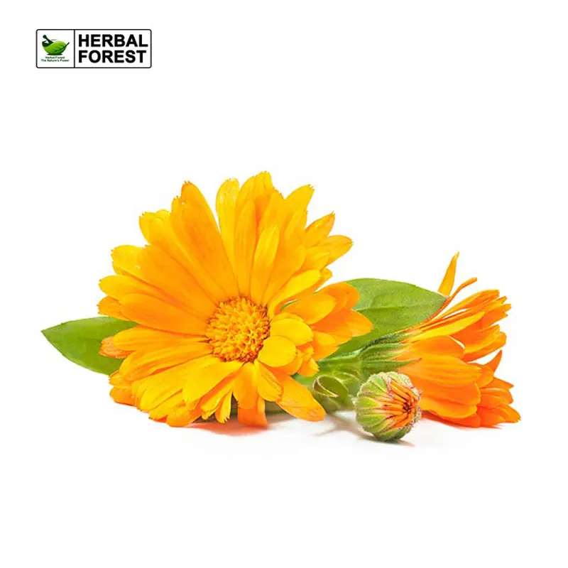 Pure Natural Calendula Extract Liquid Control Acne Removal Anti-Inflammatory Anti-Sensitivity Anti-Oxidation Beauty Skin Care