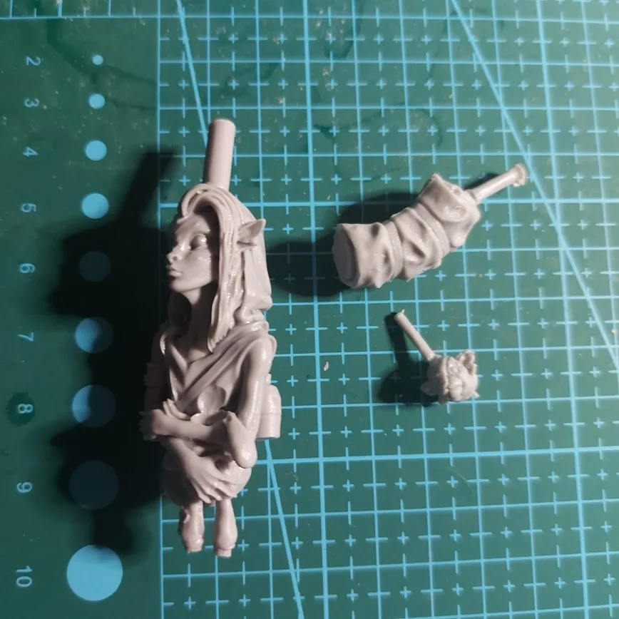 Buyer photo of this resin kit