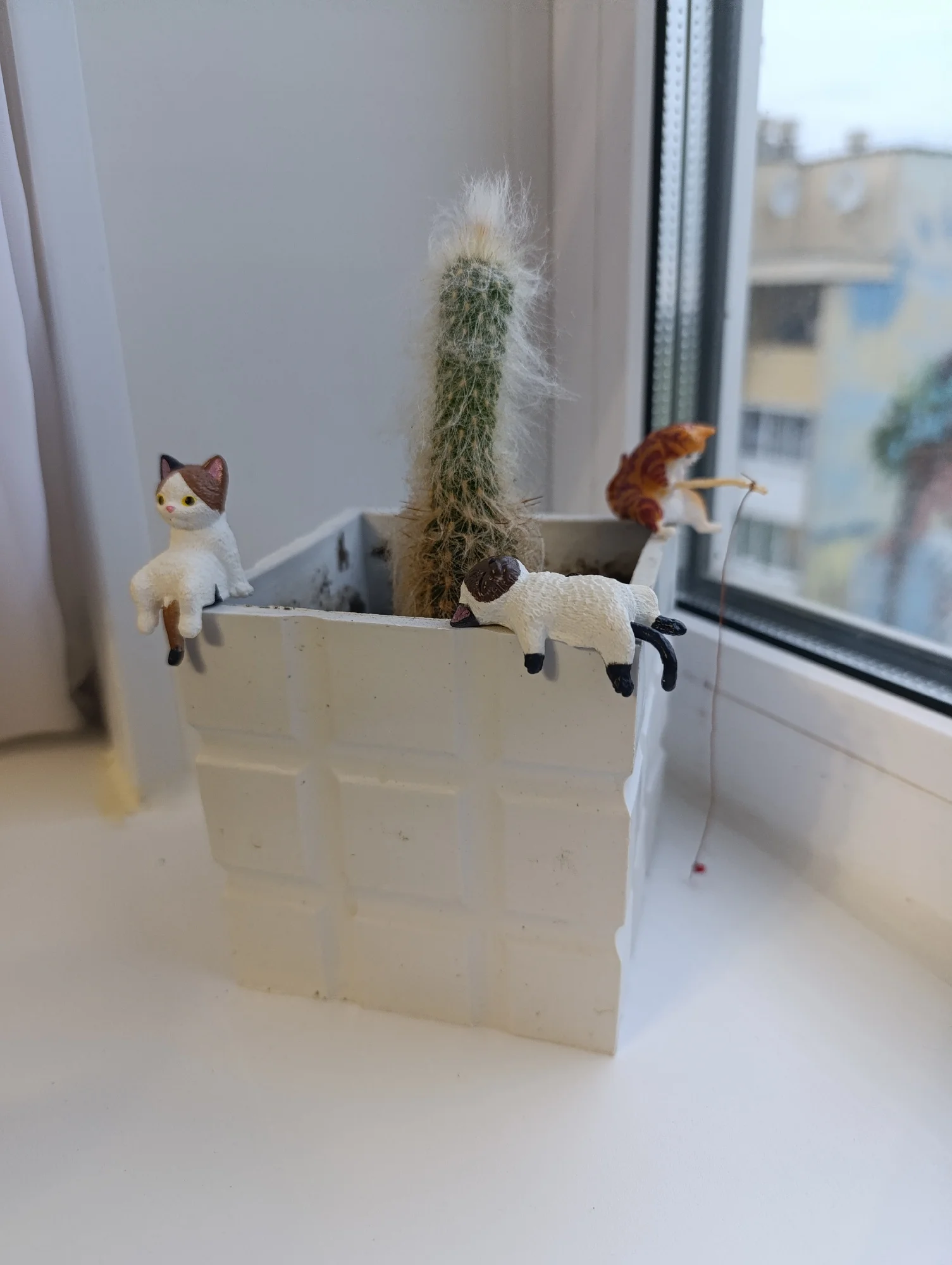 실물 포토 리뷰