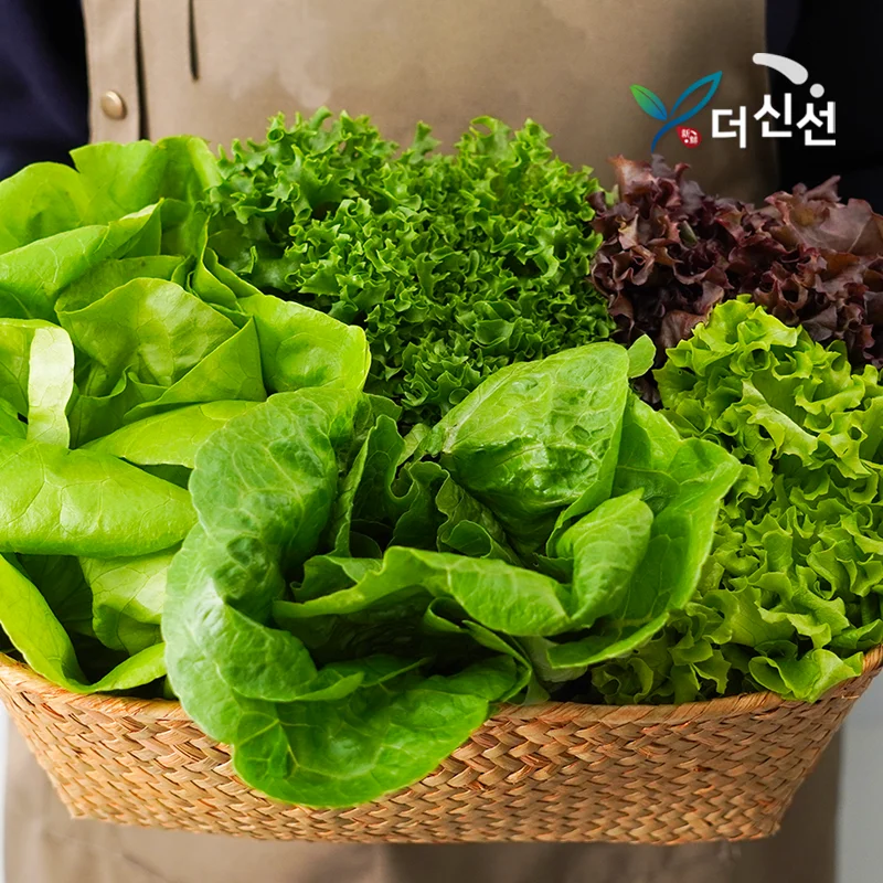 Domestic European Salad Vegetables 1kg 3-6 Varieties