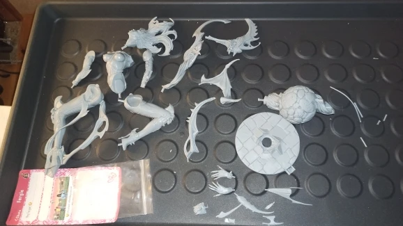 Buyer photo of this resin kit