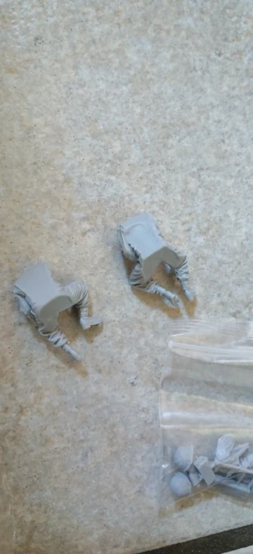 Buyer photo of this resin kit