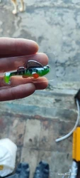 Imagen de reseña 1