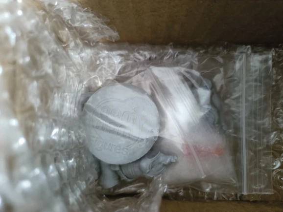 Buyer photo of this resin kit