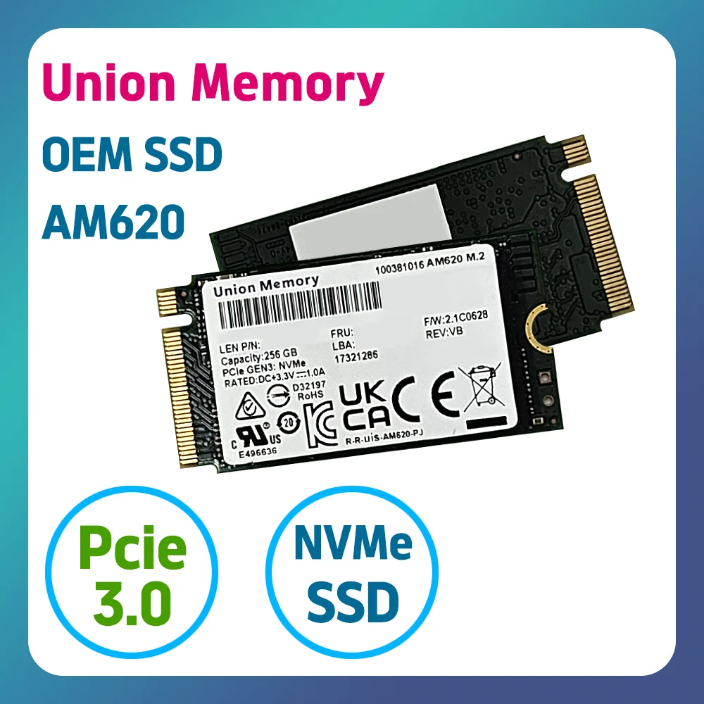 [SCNC] Union Memory PCIe 3.0 M.2 NVMe SSD AM620 256GB 2242