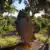 userAvatar