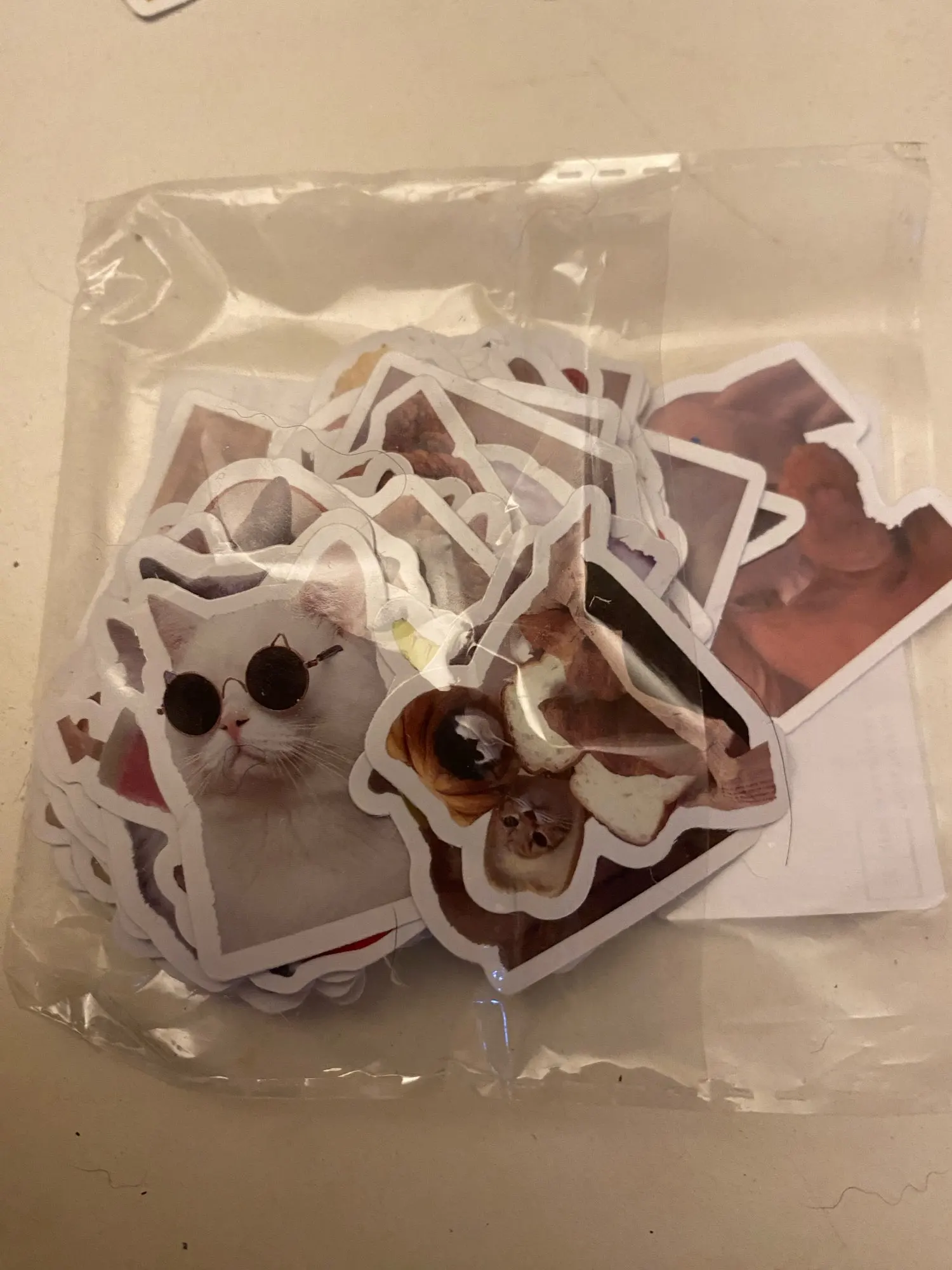Customer review photo