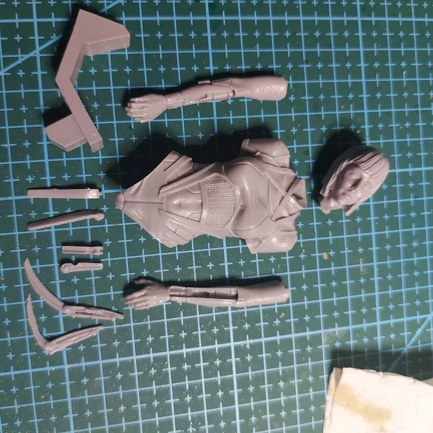 Buyer photo of this resin kit