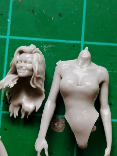 Buyer photo of this resin kit