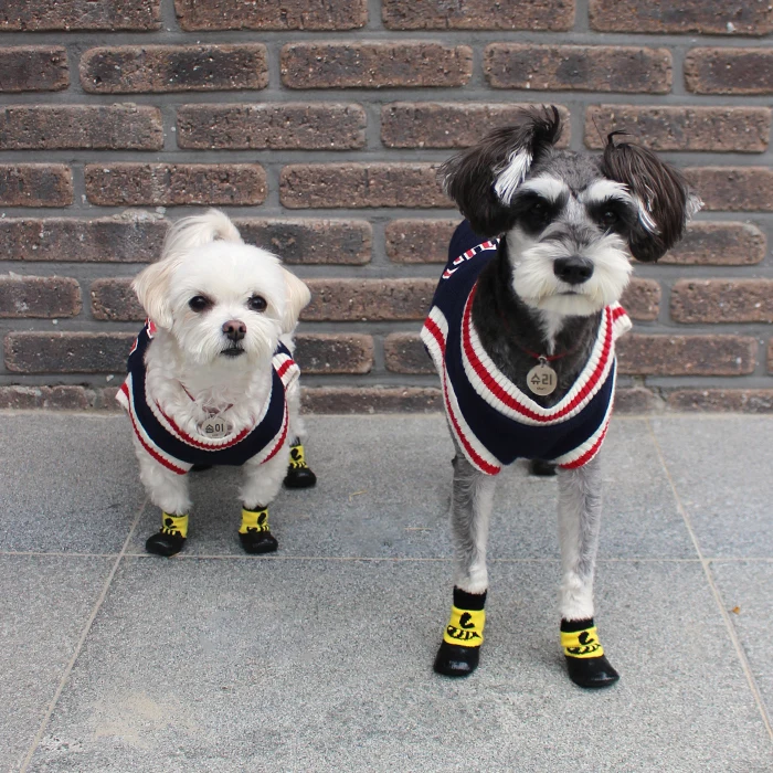 Pup waterproof socks and shoes [3color dog small dog walking anti-skid shoes]