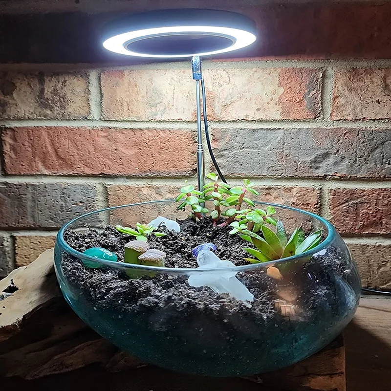 

USB LED Growing Lights For Indoor Plant Dimmable Full Spectrum Angel Ring Halo Lamp With Timer Flower Potted Seed Grow Phytolamp
