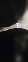 Imagen de reseña 3