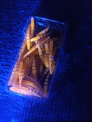 Imagen de reseña 5