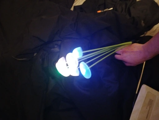 Customer review photo
