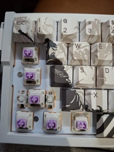 실물 포토 리뷰
