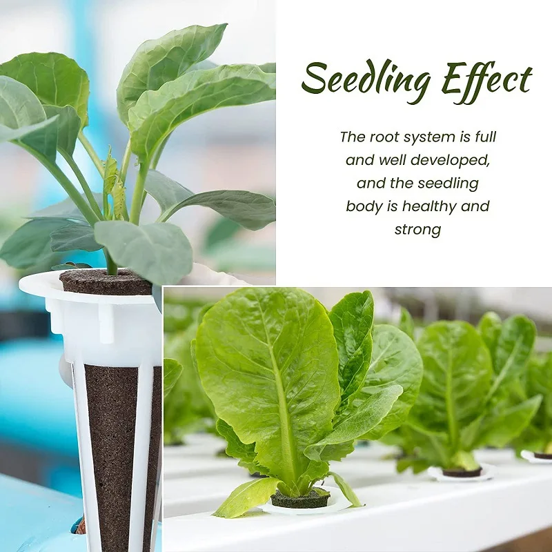 10 قطع من ملحقات الحديقة المائية، للحديقة المائية الداخلية تتضمن سلال نمو النباتات وإسفنجات نمو النباتات