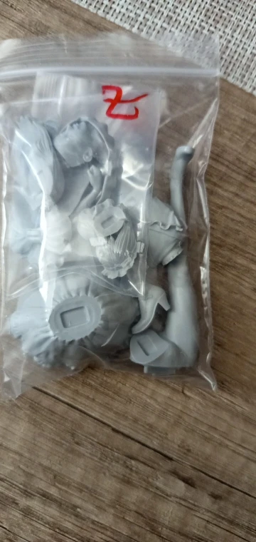 Buyer photo of this resin kit