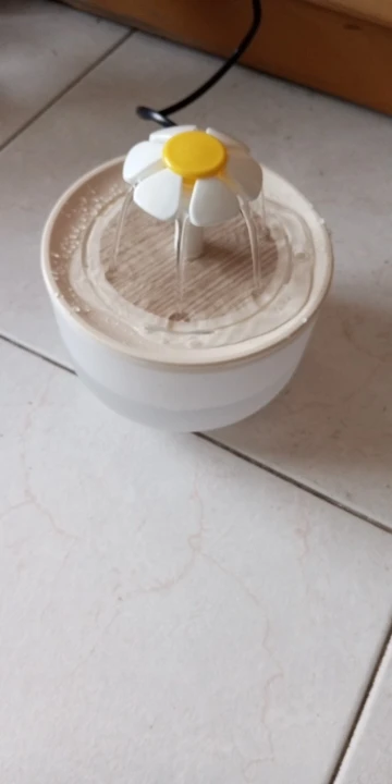 Foto do cliente