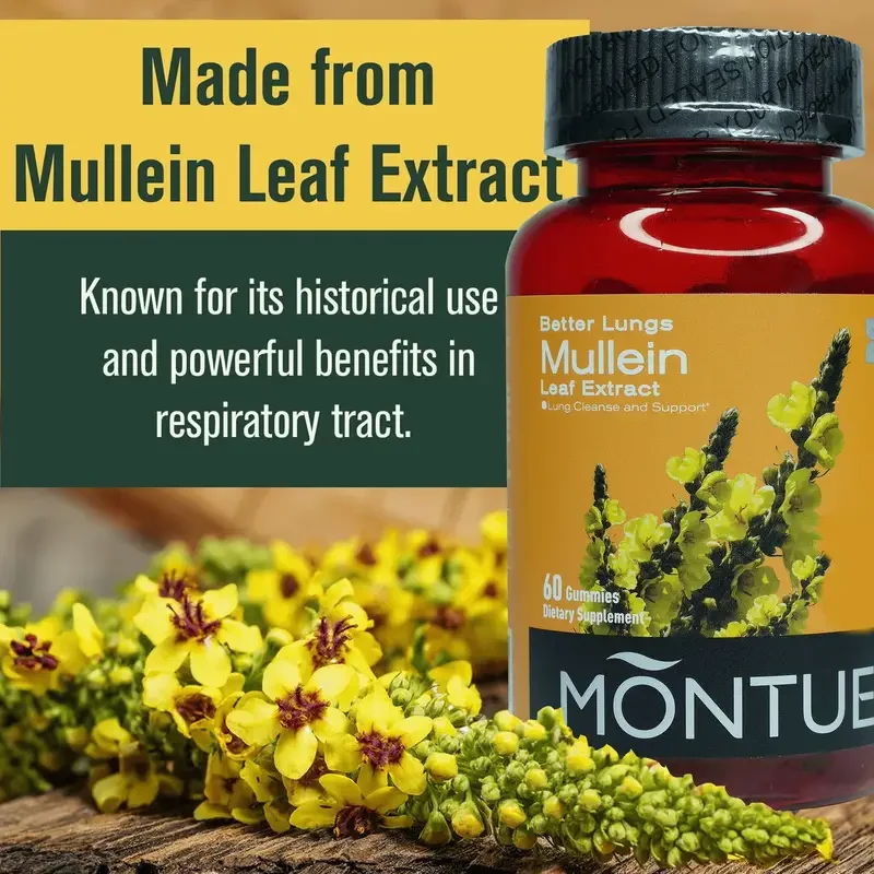 Mullein Leaf Extract  Tasty Mullein Gummies  Quercetin & Bromelain, D3 for Digestive Support, Immune Booster,  60 Cts