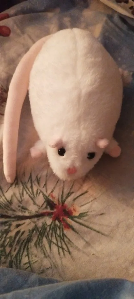 실물 포토 리뷰