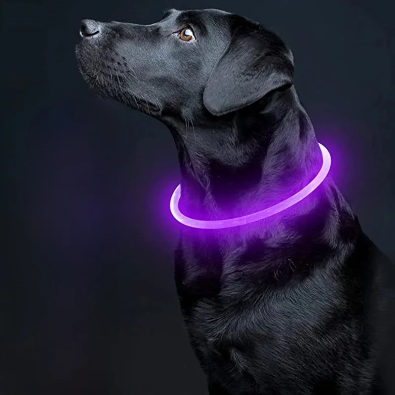 Led świecąca obroża dla psa lekki naszyjnik z ładowaniem USB, migający DIY świecący bezpieczeństwo Anti Lost koty psy akcesoria do obroży — zdjęcie 2