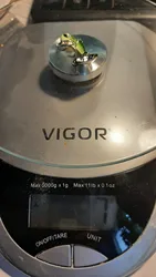 Imagen de reseña 1