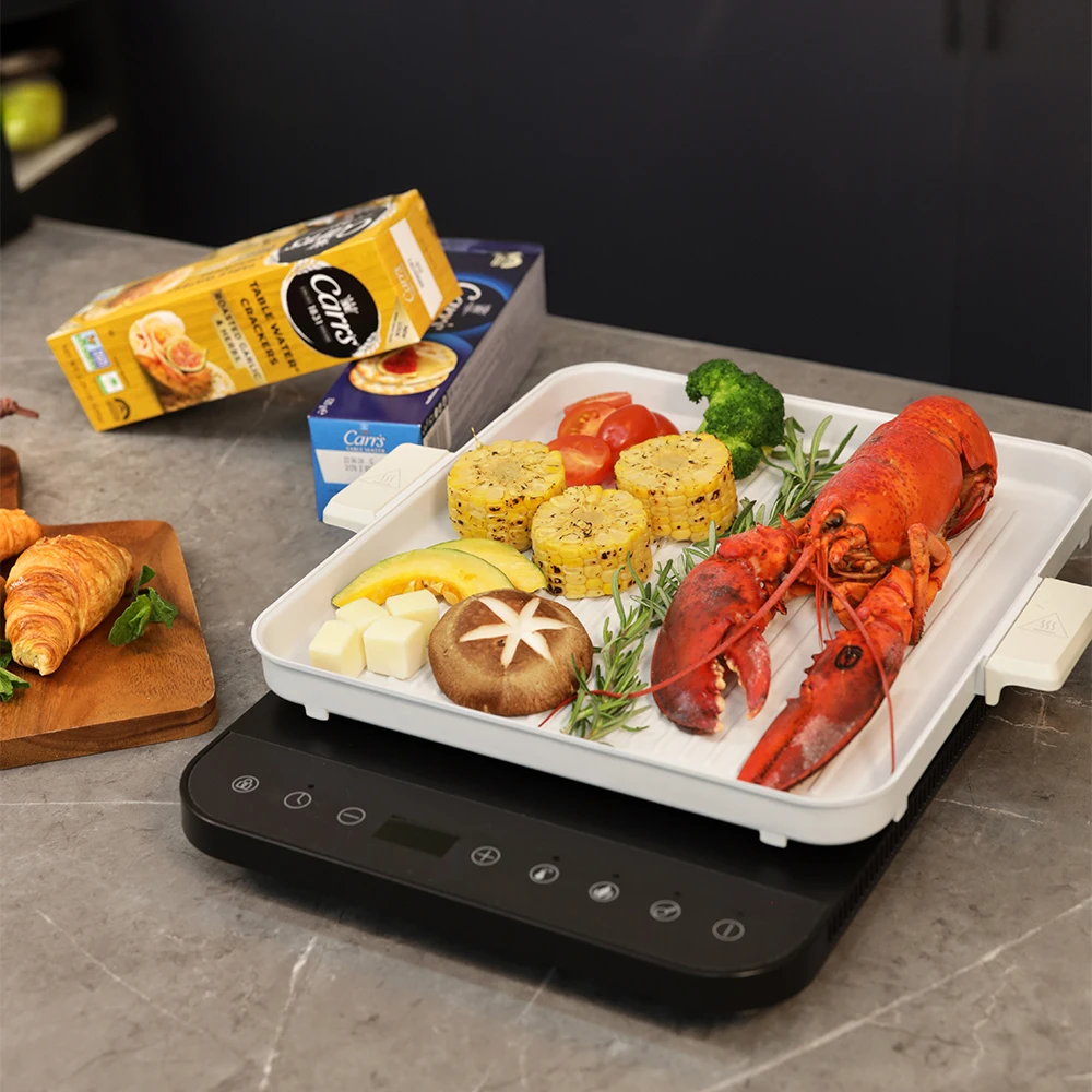 صحن ساخن كهربائي مع جودة عالية ، حفظ ذاتي ، تسخين سريع لطاولة الطعام ، وظيفة قفل سيراميك ، تحريض نحيف ، فن المطبخ ، 5005B