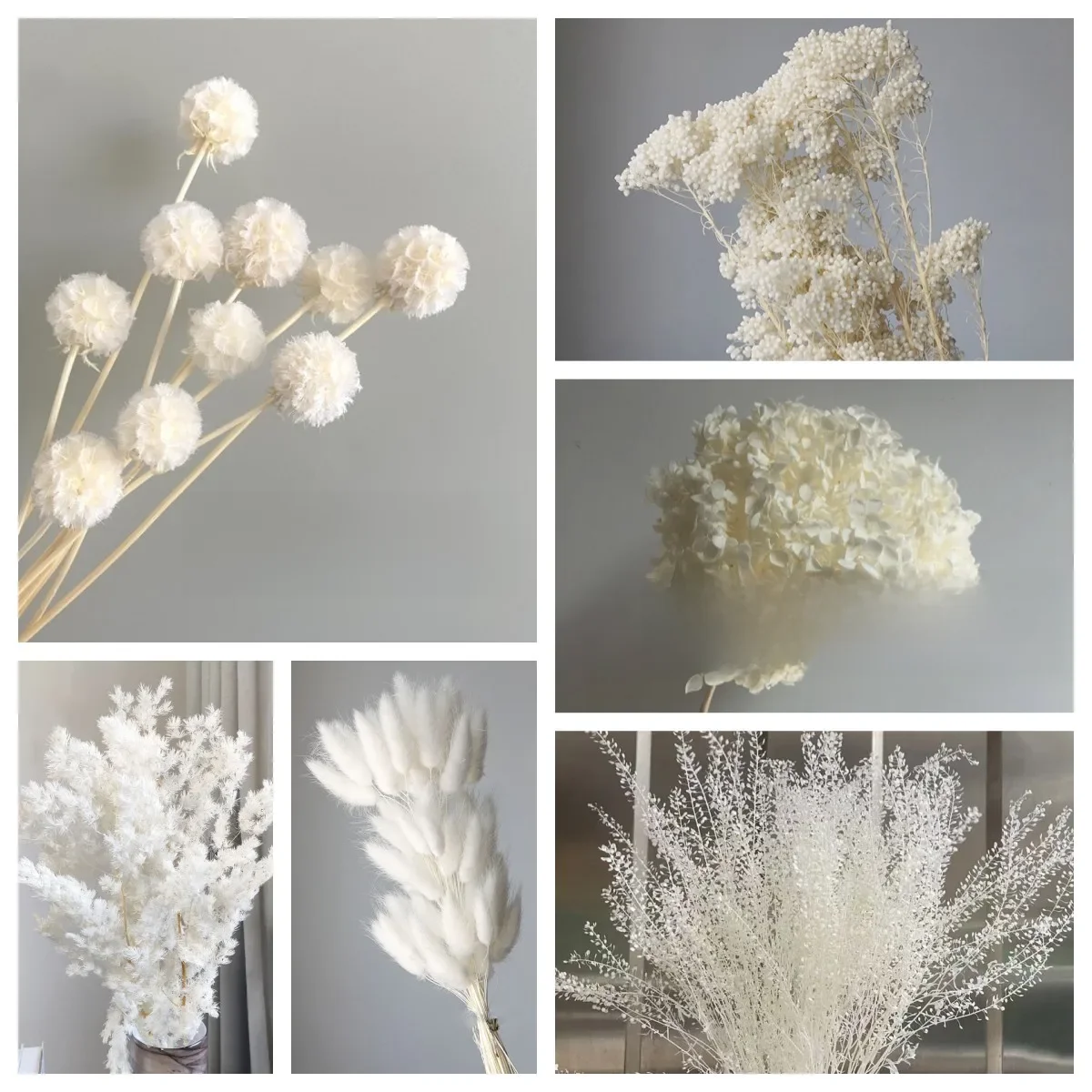 Weiße getrocknete Blumen Foto Hintergrund Wohnkultur Hochzeits dekoration getrocknete konservierte