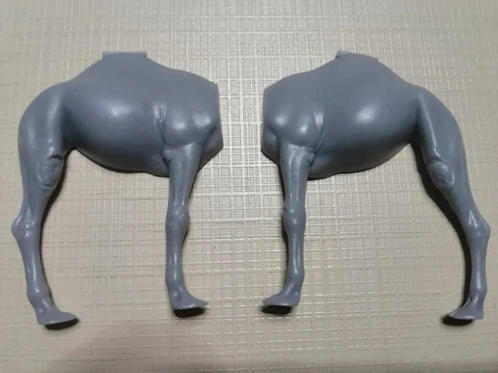 Buyer photo of this resin kit
