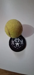 Imagen de reseña 1