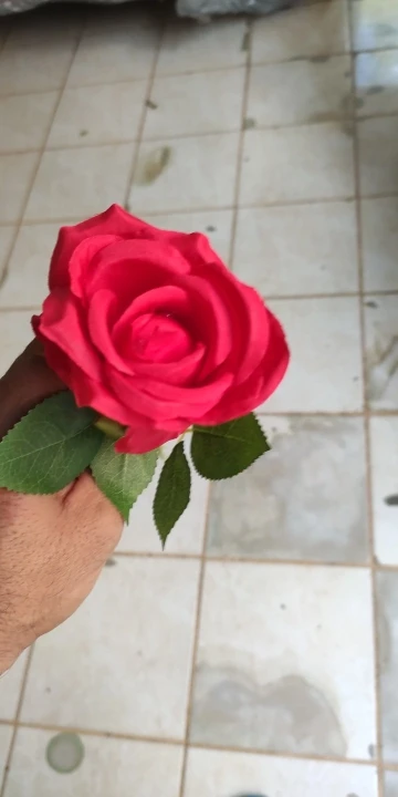 리뷰 사진