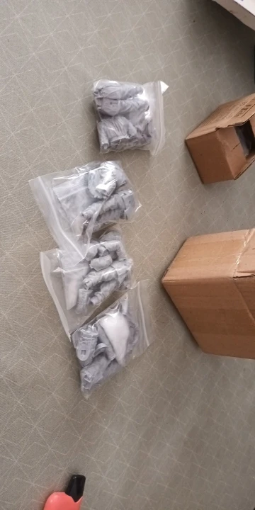 Buyer photo of this resin kit