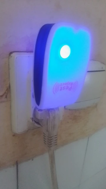 리뷰 사진