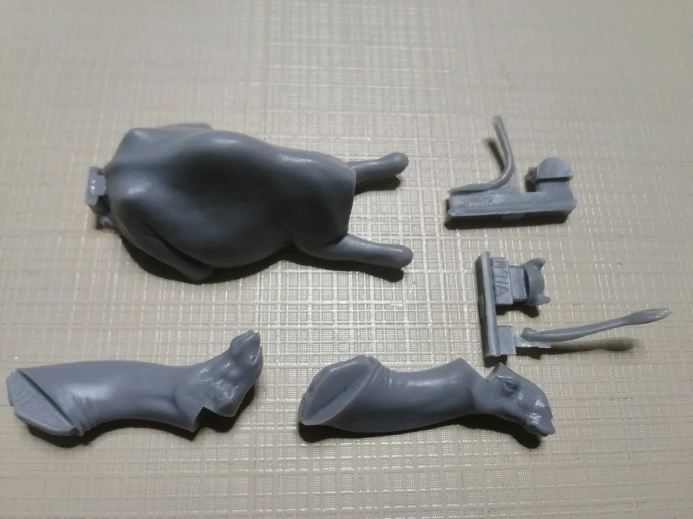 Buyer photo of this resin kit