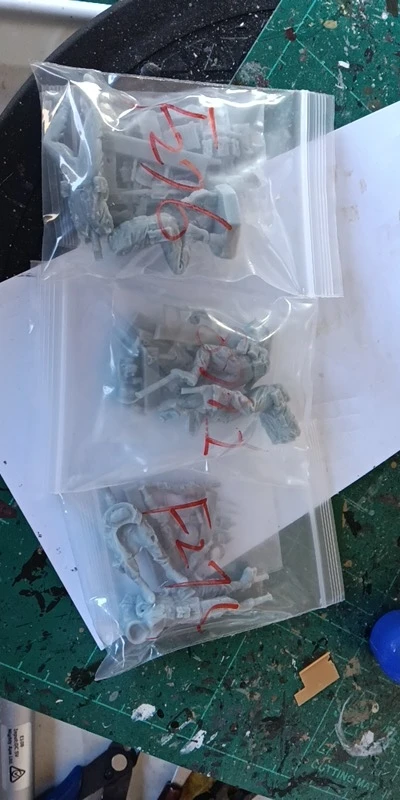Buyer photo of this resin kit