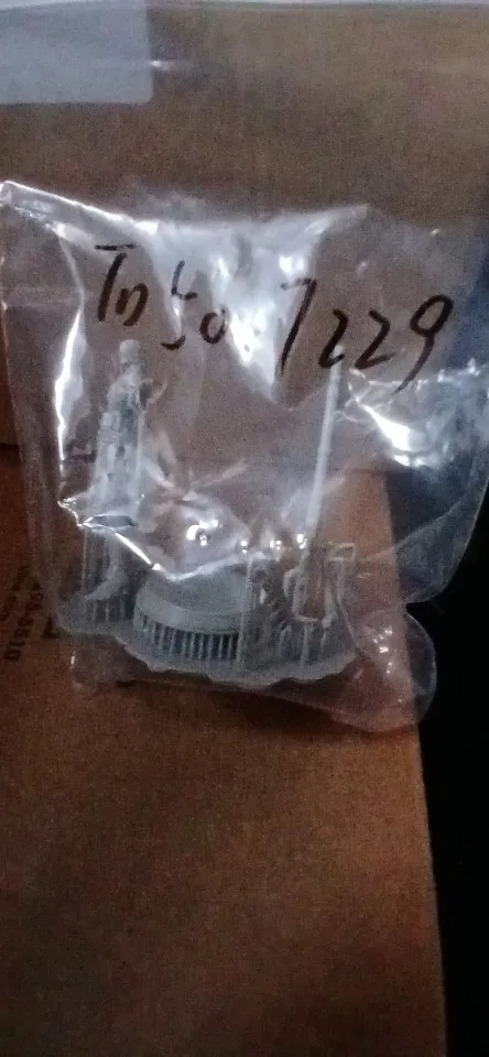 Buyer photo of this resin kit