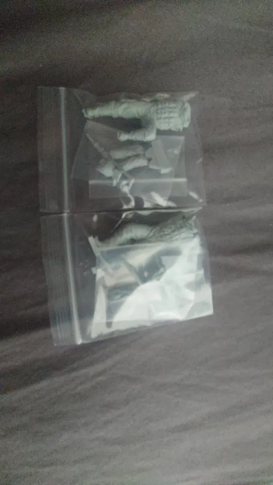 Buyer photo of this resin kit