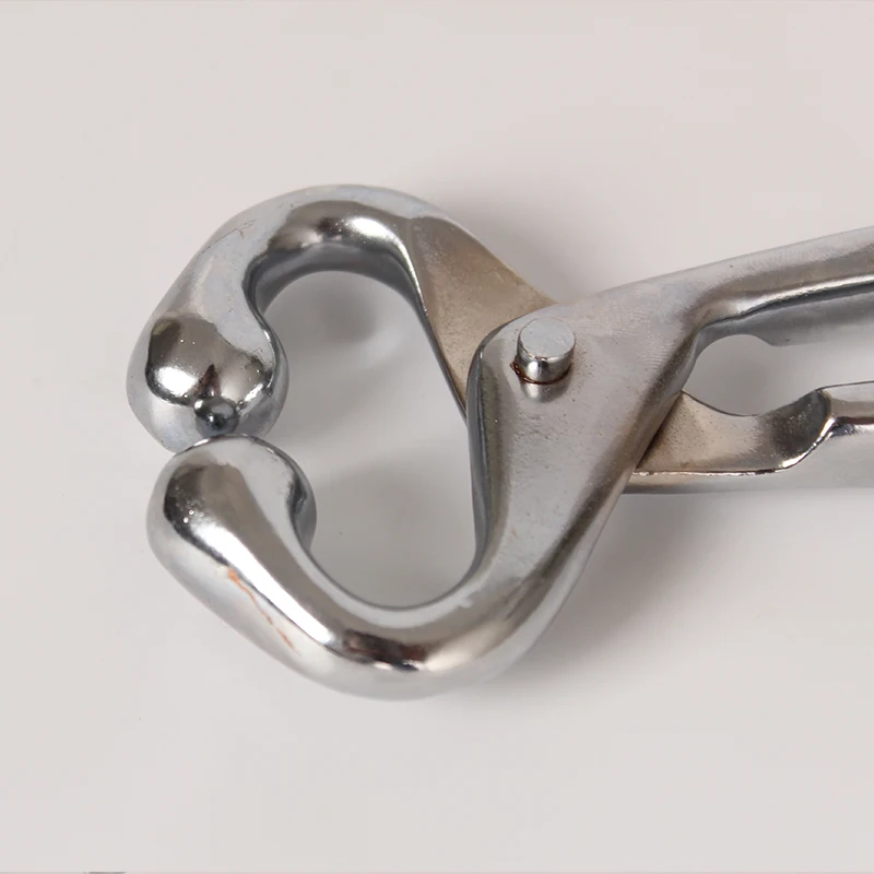 Chuangpu Stainless Steel Cow Nose Tongs, Bull-Holder with Chain, Goat Nose Clamp