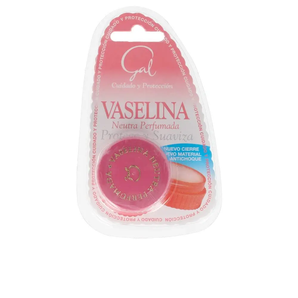 Gal Vaselina Neutra Perfumada 13 Ml