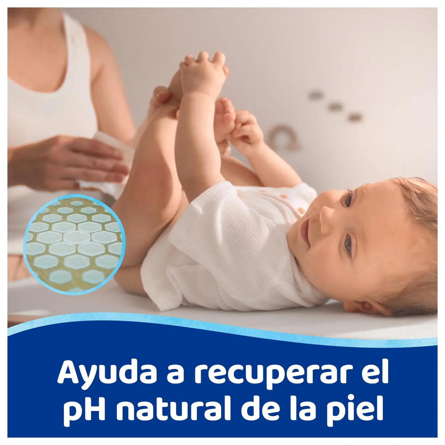 Imagen 6