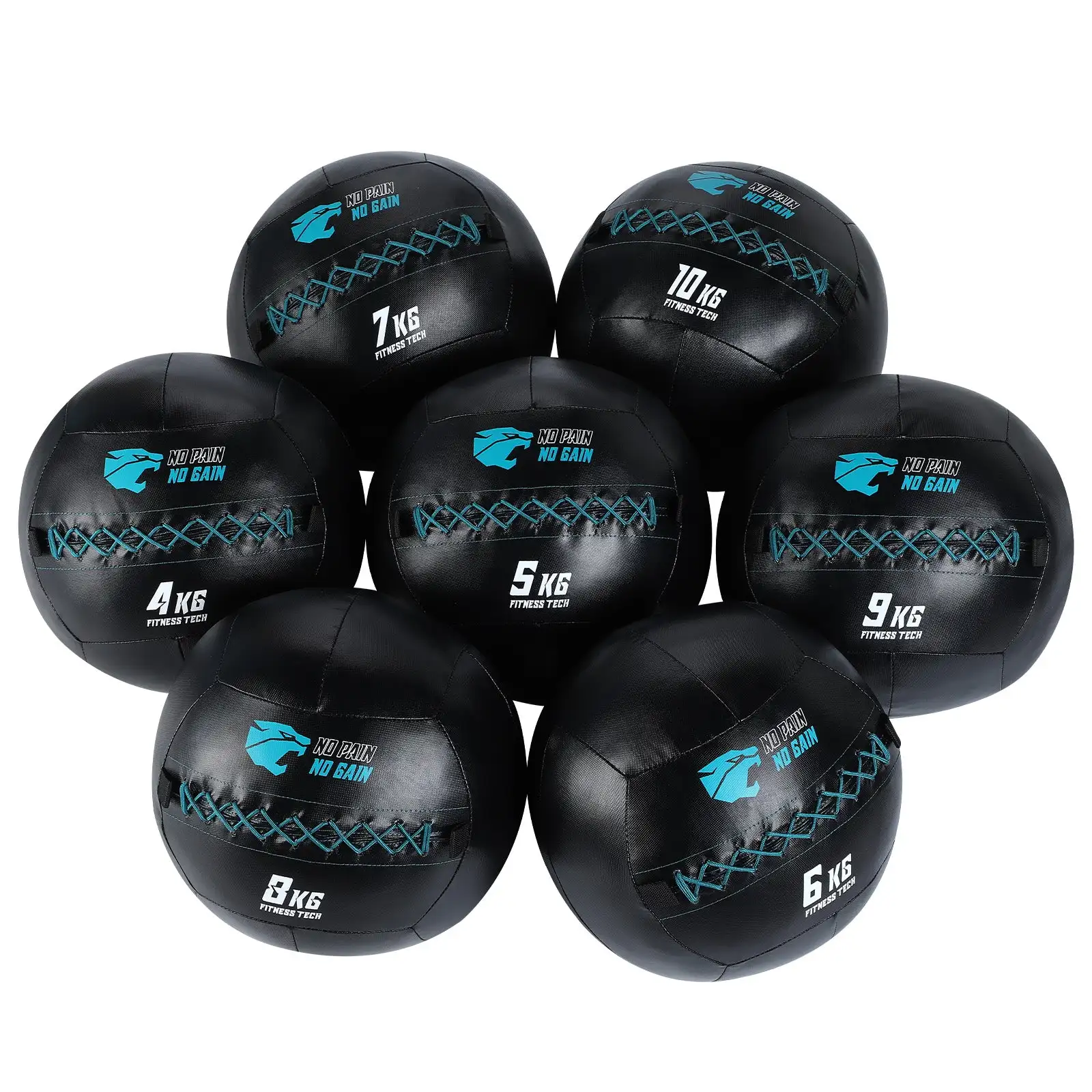 Fitness Tech Wall Ball Premium FT weight free