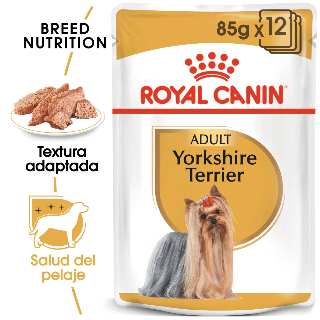 12 sobres x 85 g - Royal Canin Yorkshire Comida Húmeda para Perro Adulto de Raza