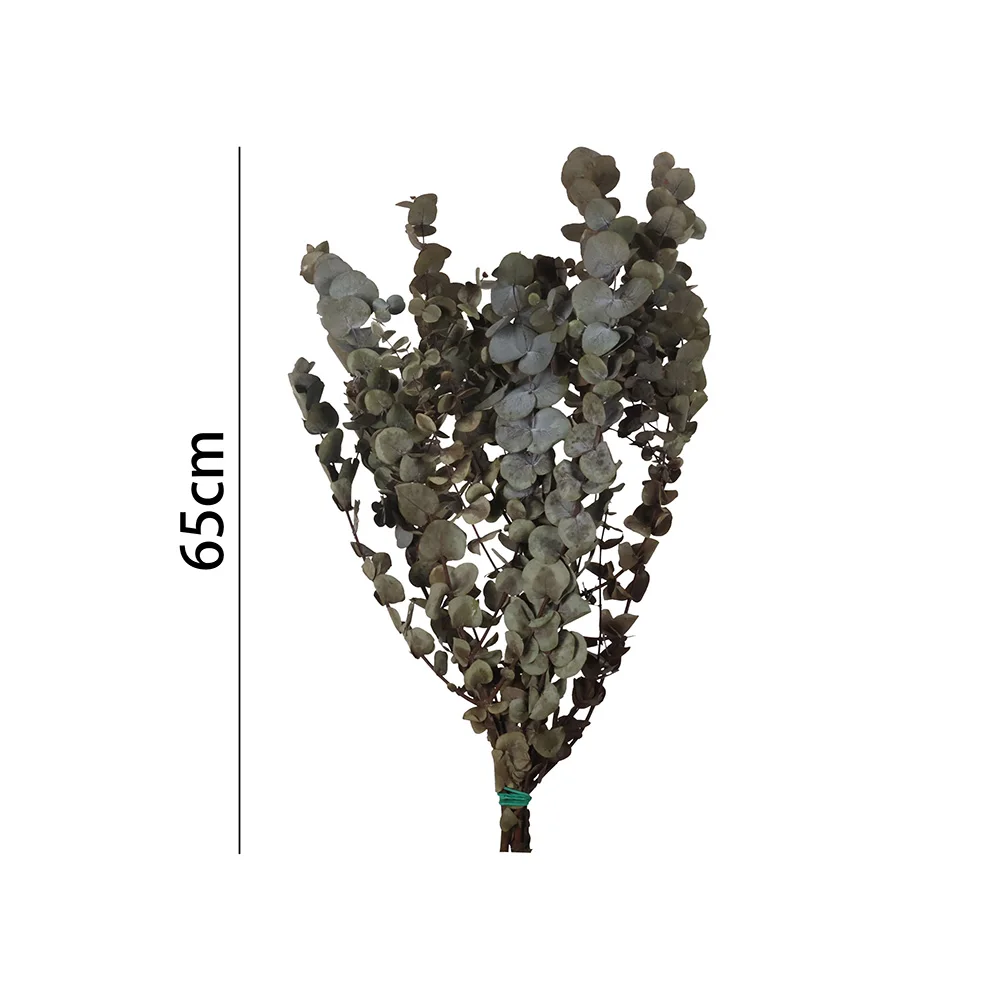 Poenia Arte Floral - Flor Seca Eucalipto 65CM - Flores Preservadas - REF 7196 - Durabilidad prolongada - Apariencia natural - Sostenibilidad - Fragancia Natural