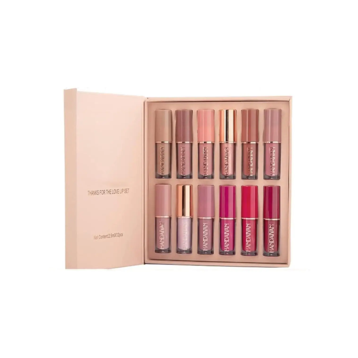 Handaiyan 12 Piezas Labiales Liquidos Mate Larga Duracion Pintalabios Permanente Hidratante Impermeable Regalo San Valentín Cumpleaños para Mujeres Novia