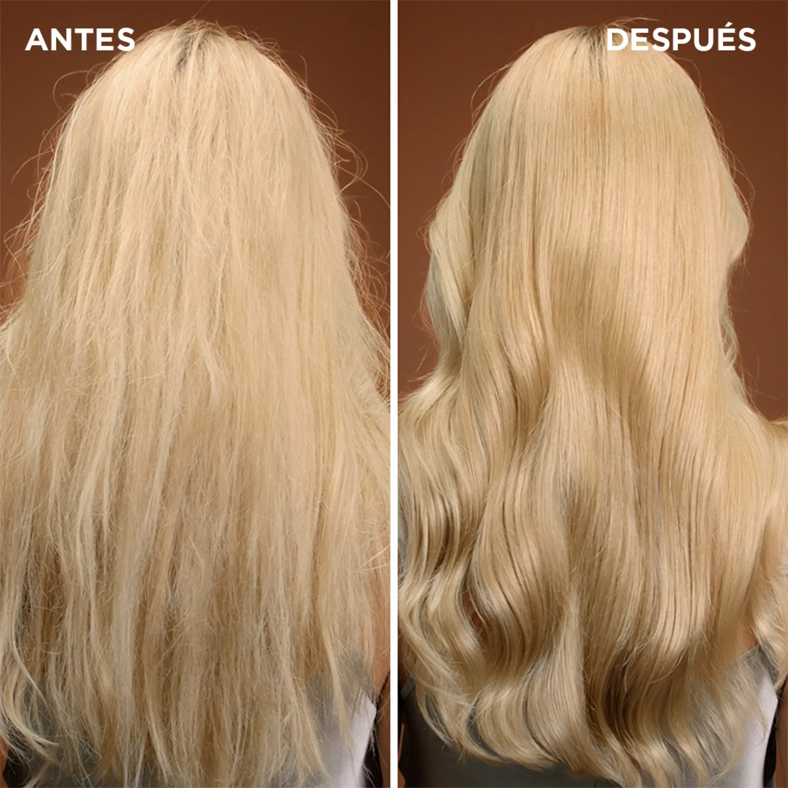 Imagen 7